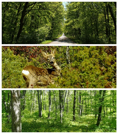 FotorCreated