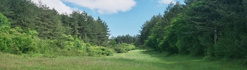 dgs_dobrinishte