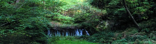 dgs_dobrinishte1