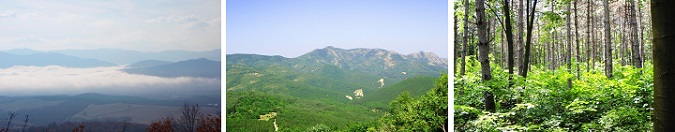Галерия