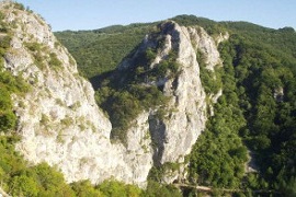 Галерия
