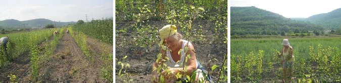 Галерия
