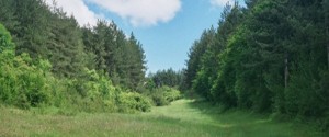 4_TP DARJAVNO GORSKO STOPANSTVO PETRICH