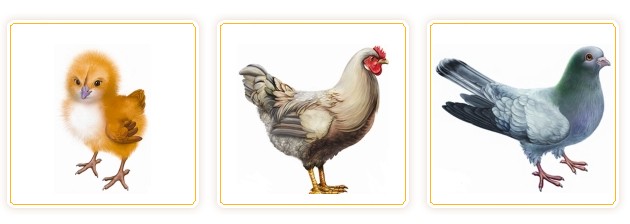 ScreenHunter_8200 Mar. 16 14.56
