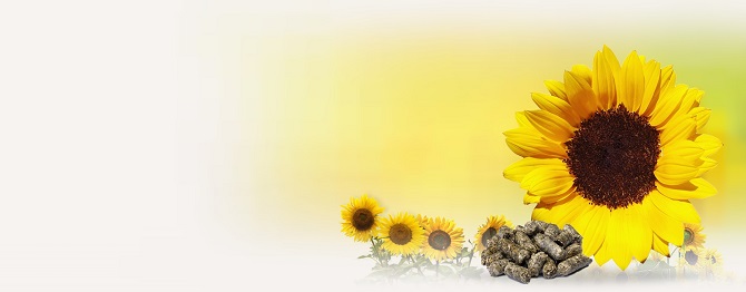 tiva-baner-1920x752