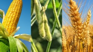 USDA-Reports-310x174