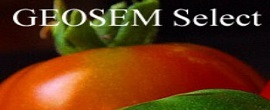 geosem