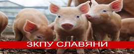 slavqni