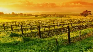 header_bg-842x474
