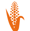 icon-white-corn-2