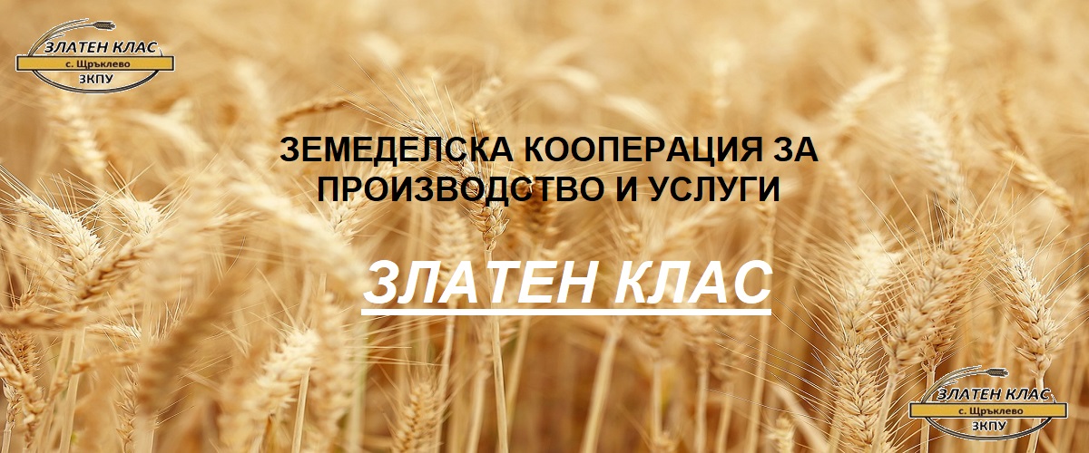 wheat-7202481_1280